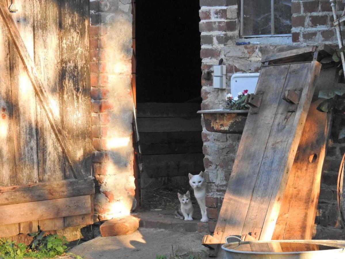 Storchenhof Apartment Schmogrow Bagian luar foto