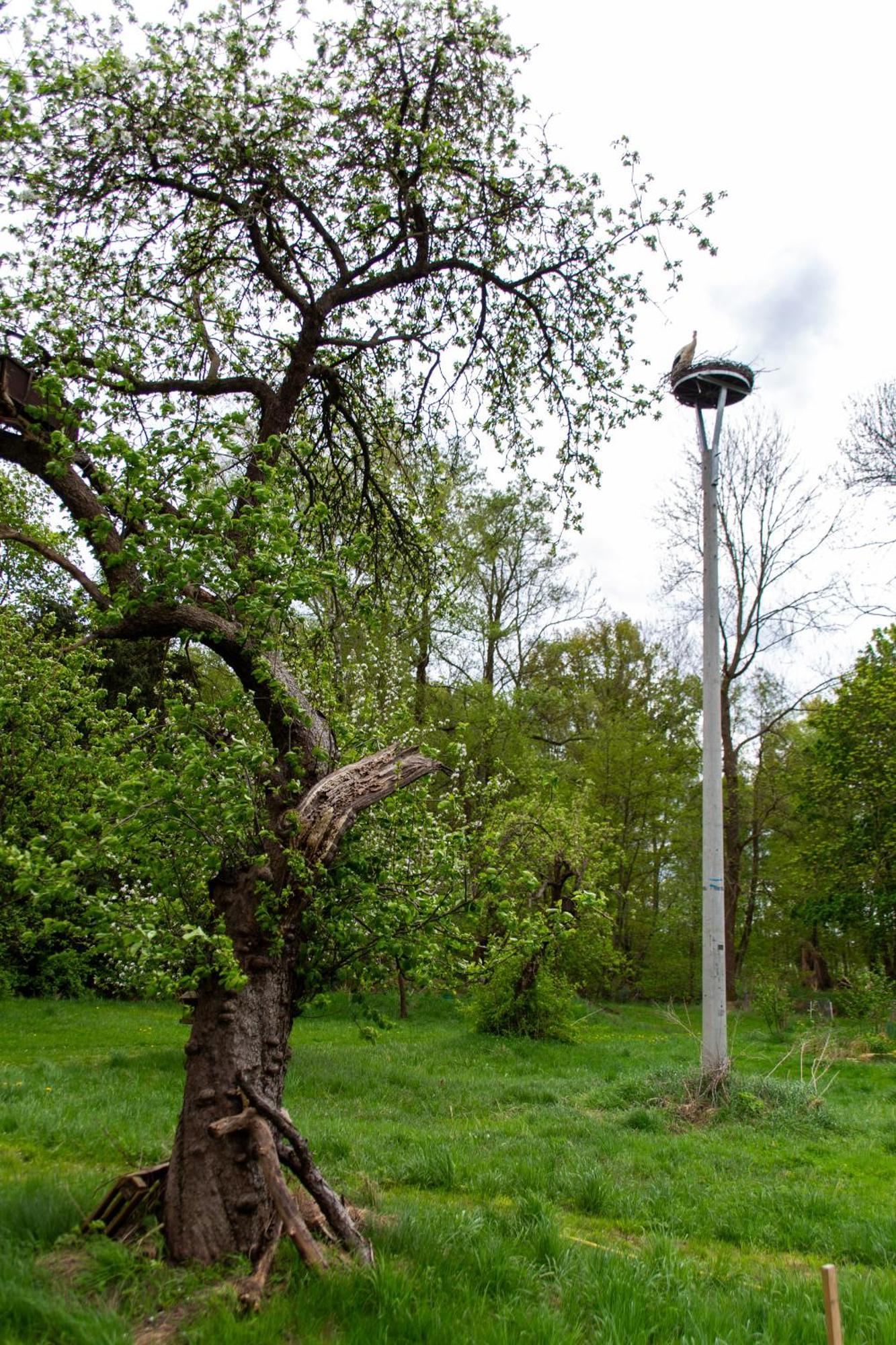 Storchenhof Apartment Schmogrow Bagian luar foto